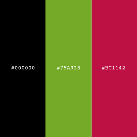 the raspberry pi brand logo color palette thumbnail