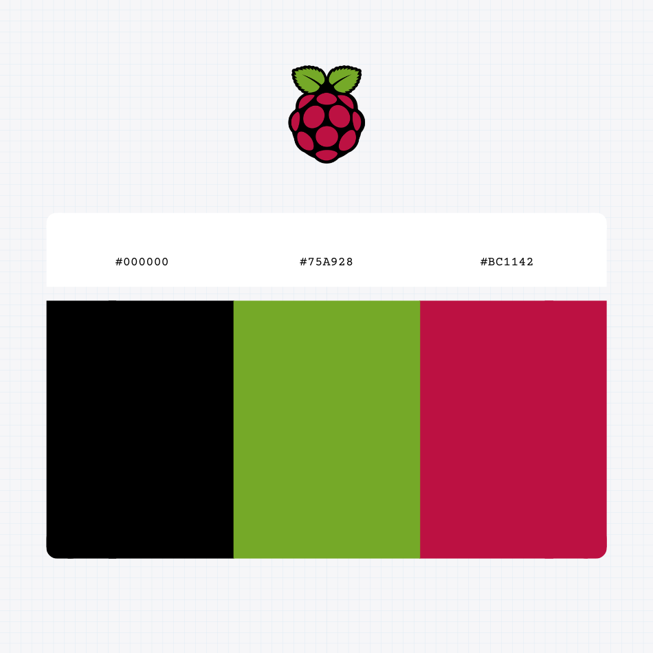 raspberry pi logo with HEX color values