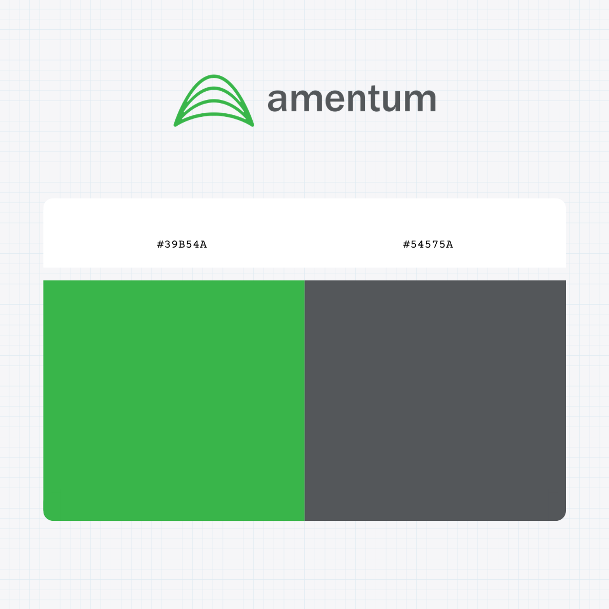 Amentum Holdings Inc logo with HEX color values