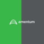 amentum logo color palette thumbnail