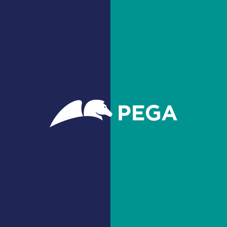 pegasystems logo color palette thumbnail