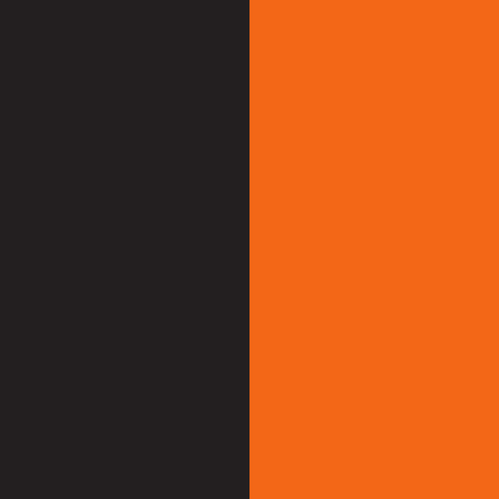biggby coffee logo color palette thumbnail