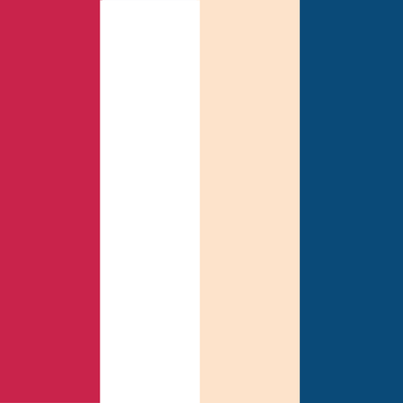 church and dwight logo color palette thumbnail