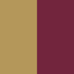 cleveland cavaliers logo color palette thumbnail