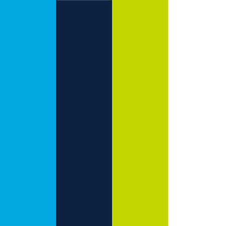 dallas wings logo color palette thumbnail