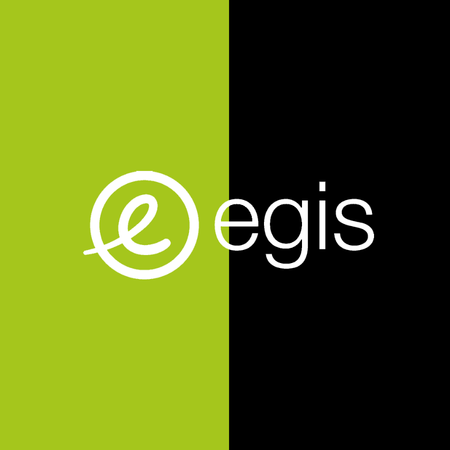 egis group logo color palette thumbnail