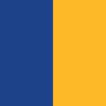 golden state warriors logo color palette thumbnail